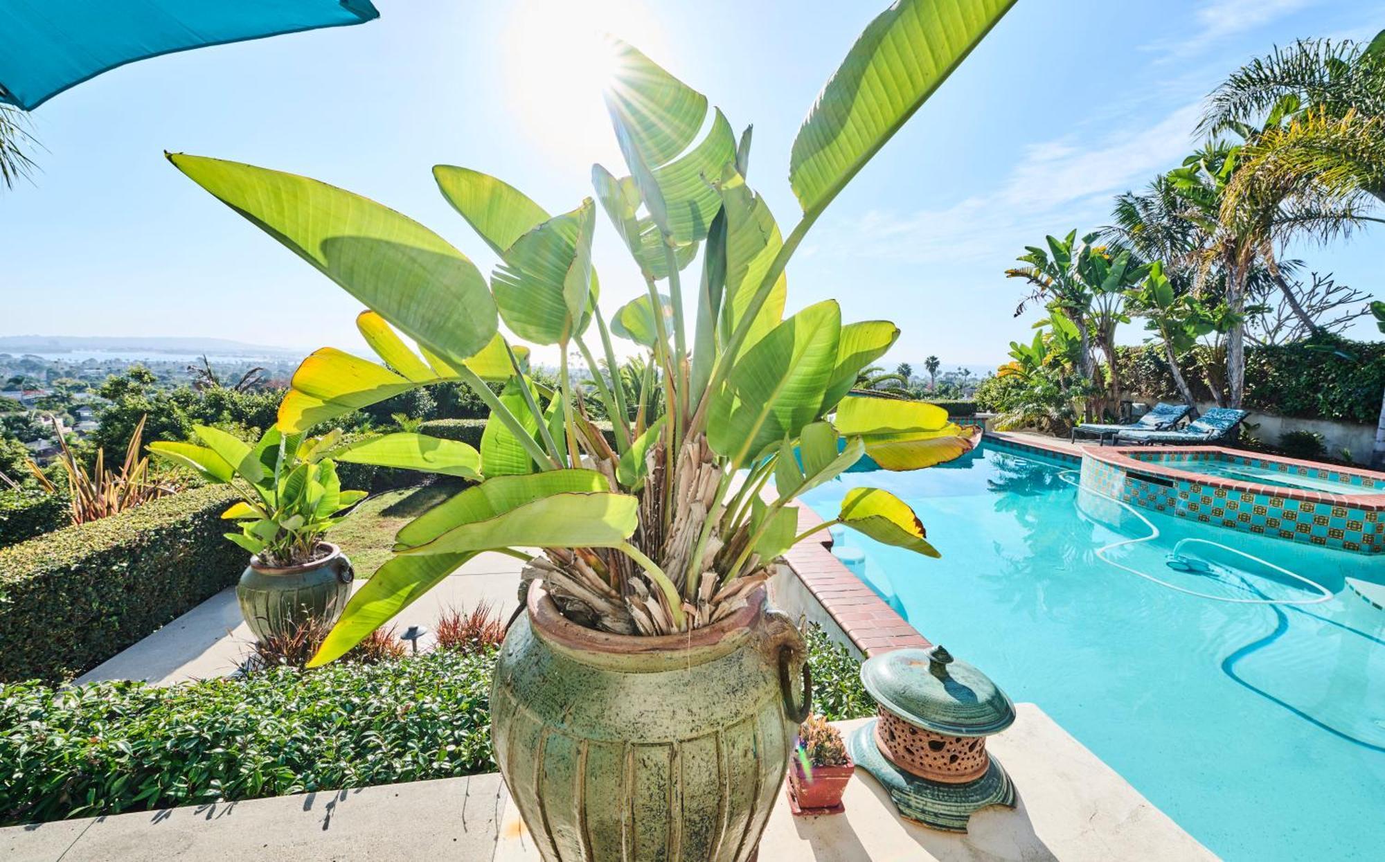 360 Degree Ocean & City Views With Pool, Spa, Close To The Beach! Pets Ok San Diego Bagian luar foto